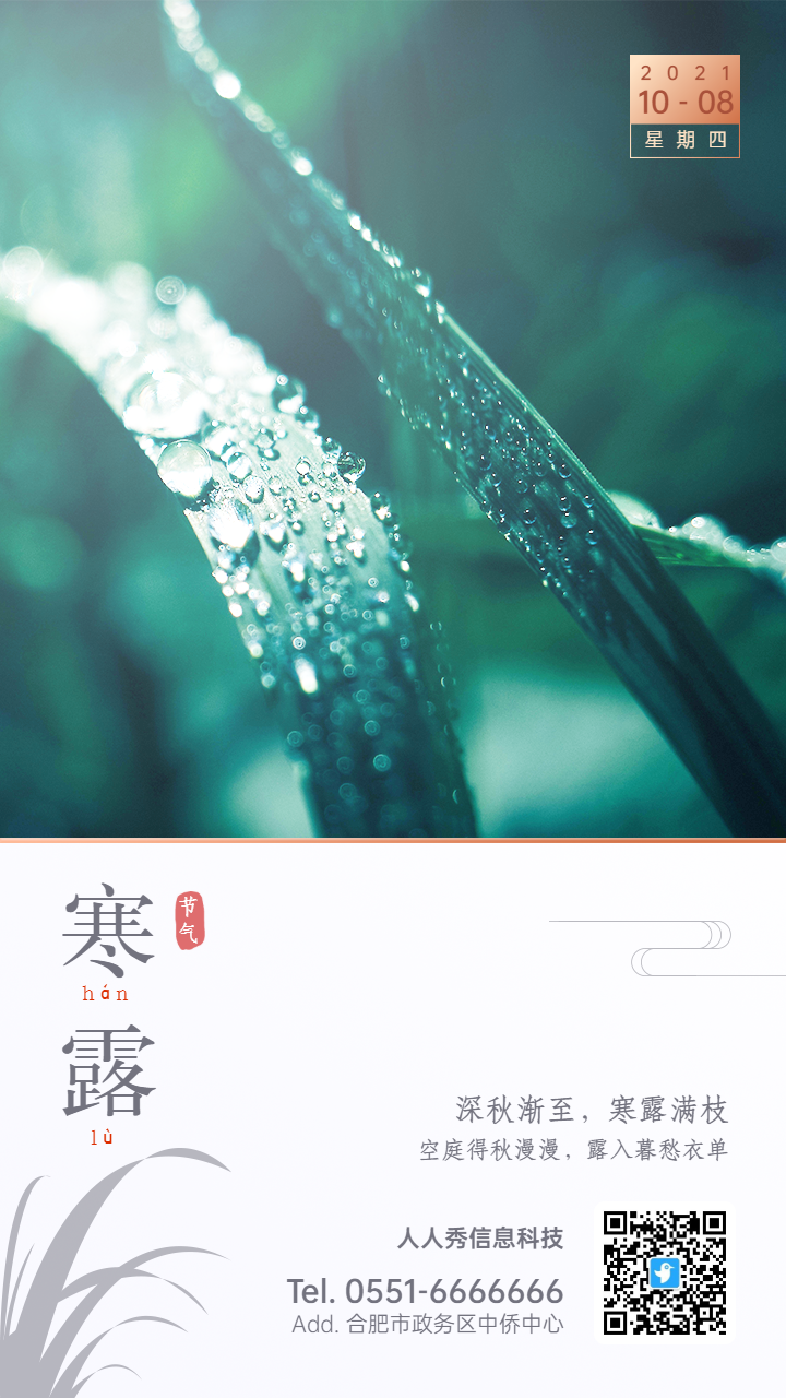 二十四节气寒露简约文艺书签风格企业宣传海报