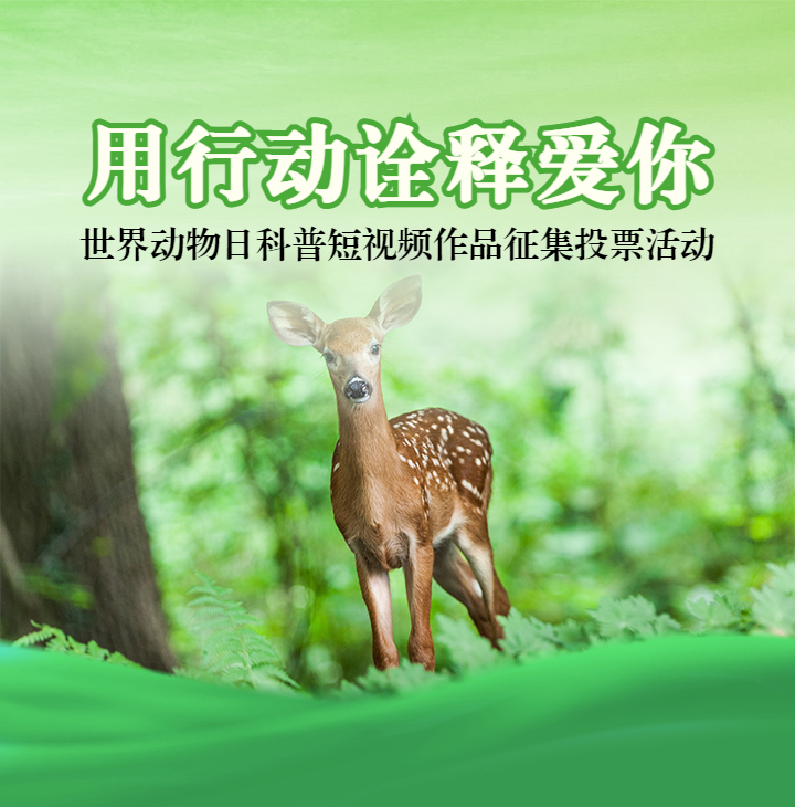 头图