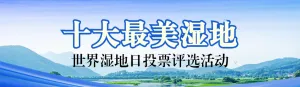 蓝色写实风格政府组织世界湿地日投票活动banner