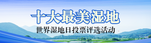 藍(lán)色寫實風(fēng)格政府組織世界濕地日投票活動banner