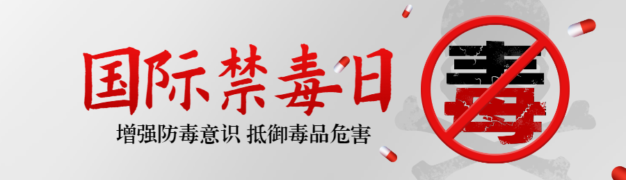 灰色简约风格政府机关国际禁毒日知识答题活动banner