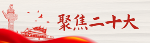 紅色剪影黨建風(fēng)格聚焦二十大知識答題活動banner