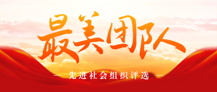 红色大气党建风格先进社会组织评选投票活动banner