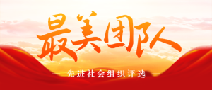 紅色大氣黨建風(fēng)格先進(jìn)社會組織評選投票活動banner