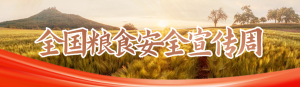 金色漸變寫實(shí)唯美風(fēng)格政府機(jī)關(guān)全國(guó)糧食安全宣傳周知識(shí)答題活動(dòng)banner
