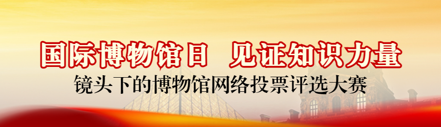 红色写实风格政府组织国际博物馆日投票活动banner