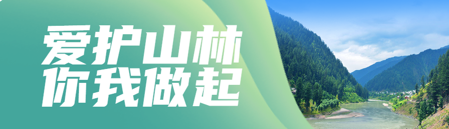 绿色写实唯美风格政府国际山岳日知识答题活动banner