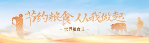 金色渐变风格政府机关世界粮食日知识答题活动banner