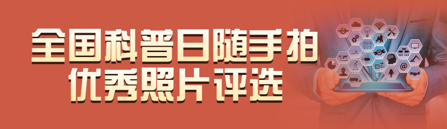 橙色写实风格政府组织全国科普日投票活动banner