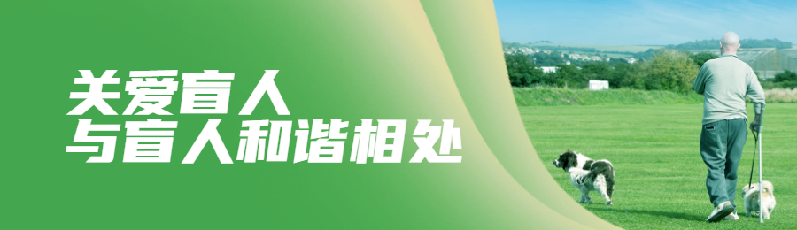 绿色写实唯美风格政府组织国际盲人节知识答题活动banner