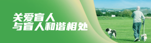 綠色寫實唯美風(fēng)格政府組織國際盲人節(jié)知識答題活動banner