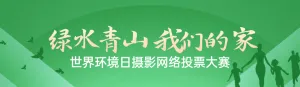 绿色扁平渐变风格政府世界环境日投票活动banner