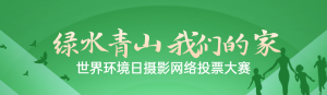 綠色扁平漸變風(fēng)格政府世界環(huán)境日投票活動banner