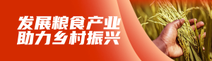 紅色寫實唯美風(fēng)格政府組織全國糧食安全宣傳周知識答題活動banner