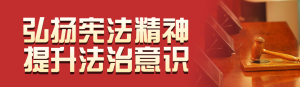 紅色寫(xiě)實(shí)風(fēng)格政府組織全國(guó)法制宣傳日投票活動(dòng)banner