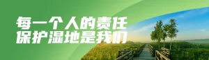 绿色写实唯美风格政府组织国际海关日知识答题活动banner