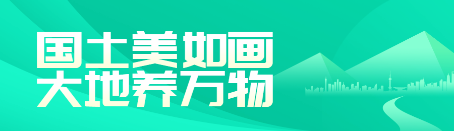绿色扁平渐变风格政府组织全国土地日投票活动banner