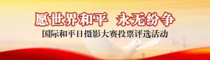 红色写实风格政府组织国际和平日投票活动banner