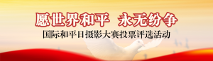 紅色寫實(shí)風(fēng)格政府組織國際和平日投票活動(dòng)banner