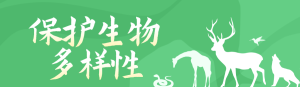 綠色扁平剪影風(fēng)格政府機(jī)關(guān)生物多樣性知識(shí)答題活動(dòng)banner