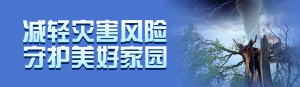 藍(lán)色寫(xiě)實(shí)風(fēng)格政府組織全國(guó)防災(zāi)減災(zāi)日投票活動(dòng)banner