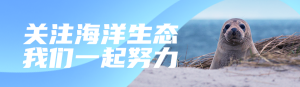 藍色寫實唯美風格政府組織國際海豹日知識答題活動banner