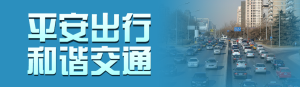 藍(lán)色寫(xiě)實(shí)風(fēng)格政府組織全國(guó)交通安全日投票活動(dòng)banner