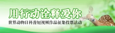绿色写实风格政府组织世界动物日投票活动banner
