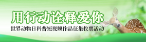 綠色寫實風格政府組織世界動物日投票活動banner