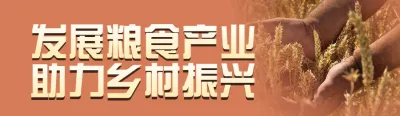 橙色写实风格政府组织全国粮食安全宣传周投票活动banner
