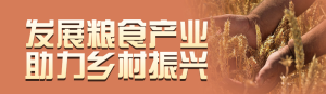 橙色寫(xiě)實(shí)風(fēng)格政府組織全國(guó)糧食安全宣傳周投票活動(dòng)banner