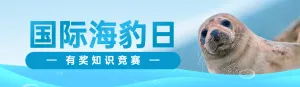 蓝色写实风格政府组织国际海豹日知识答题活动banner