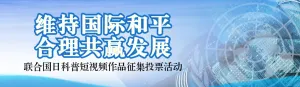 蓝色写实风格政府组织联合国日投票活动banner