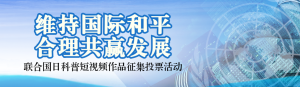 藍色寫實風(fēng)格政府組織聯(lián)合國日投票活動banner