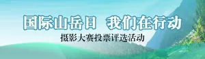 绿色写实风格政府组织国际山岳日投票活动banner