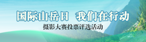 綠色寫實(shí)風(fēng)格政府組織國際山岳日投票活動banner