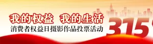 红色渐变剪影风格政府组织消费者权益日投票活动banner