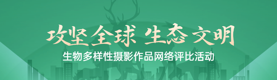 绿色扁平渐变风格政府组织生物多样性投票活动banner