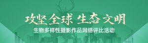 綠色扁平漸變風(fēng)格政府組織生物多樣性投票活動banner