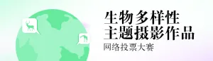 绿色扁平渐变风格政府组织生物多样性投票活动banner