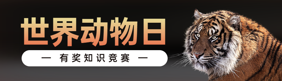 黑色写实风格政府组织世界动物日知识答题活动banner