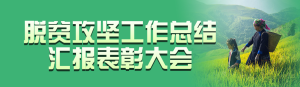 綠色寫(xiě)實(shí)風(fēng)格政府組織全面推進(jìn)鄉(xiāng)村振興投票活動(dòng)banner