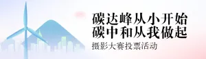 蓝色扁平渐变风格政府组织碳达峰碳中和投票活动banner