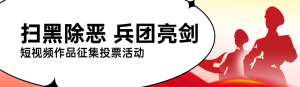 紅色黨建風(fēng)格政府組織掃黑除惡投票活動(dòng)banner