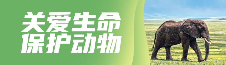 绿色写实唯美风格政府组织世界动物日知识答题活动banner