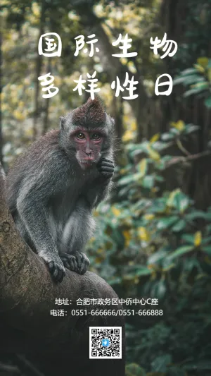 国际生物多样性日