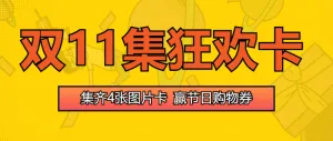 双11集狂欢卡
