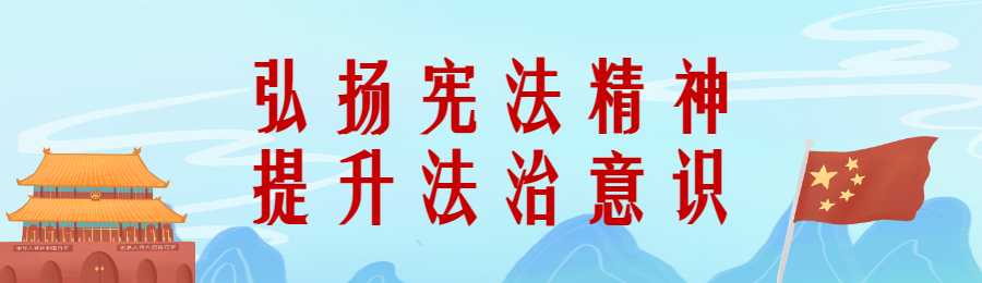 蓝色插画风格全国法制宣传日(宪法日)投票活动海报