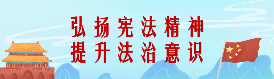 蓝色插画风格全国法制宣传日（宪法日）投票活动海报