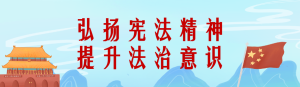 藍色插畫風格全國法制宣傳日（憲法日）投票活動海報